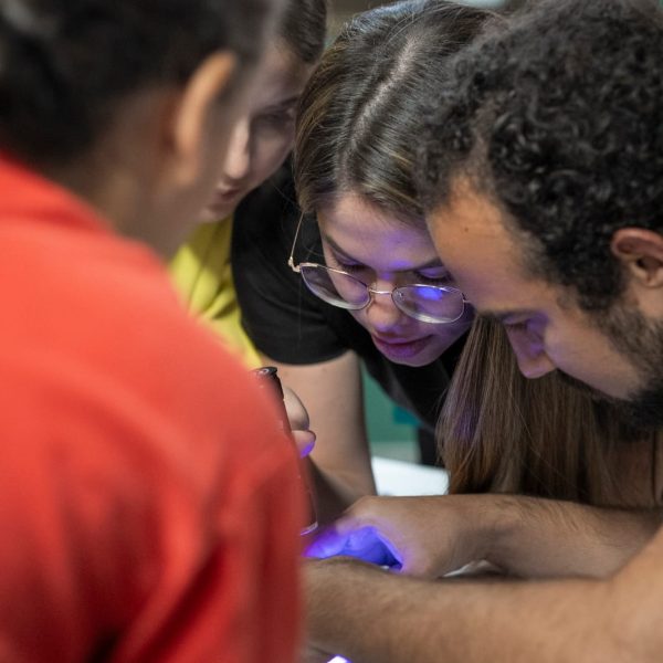 WhatsApp Image 2024-11-01 at 14.04.59