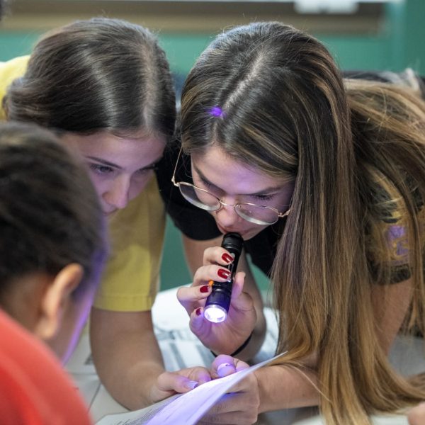 WhatsApp Image 2024-11-01 at 14.05.00