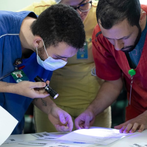 WhatsApp Image 2024-11-01 at 14.05.01 (1)